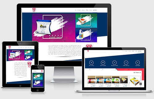 طراحی سایت فروشگاه اینترنتی هیروکالا