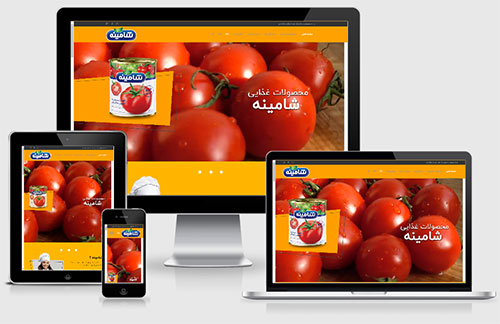 طراحی سایت شرکتی محصولات غذایی شامینه