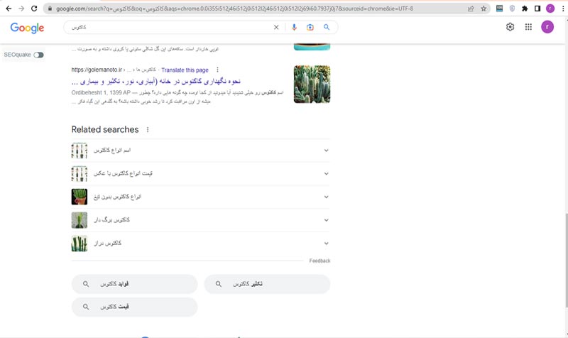 پرسش های مرتبط SERP