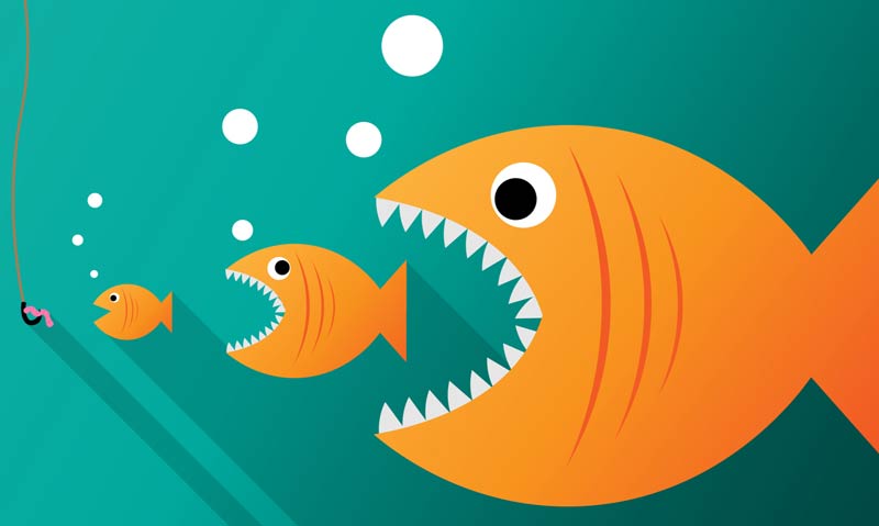 کنیبالیزیشن چیست